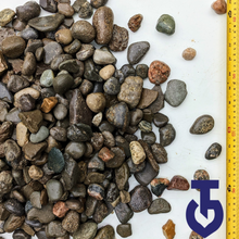 Load image into Gallery viewer, 1 1/2” Septic Stone